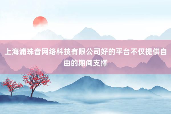 上海浦珠音网络科技有限公司好的平台不仅提供自由的期间支撑